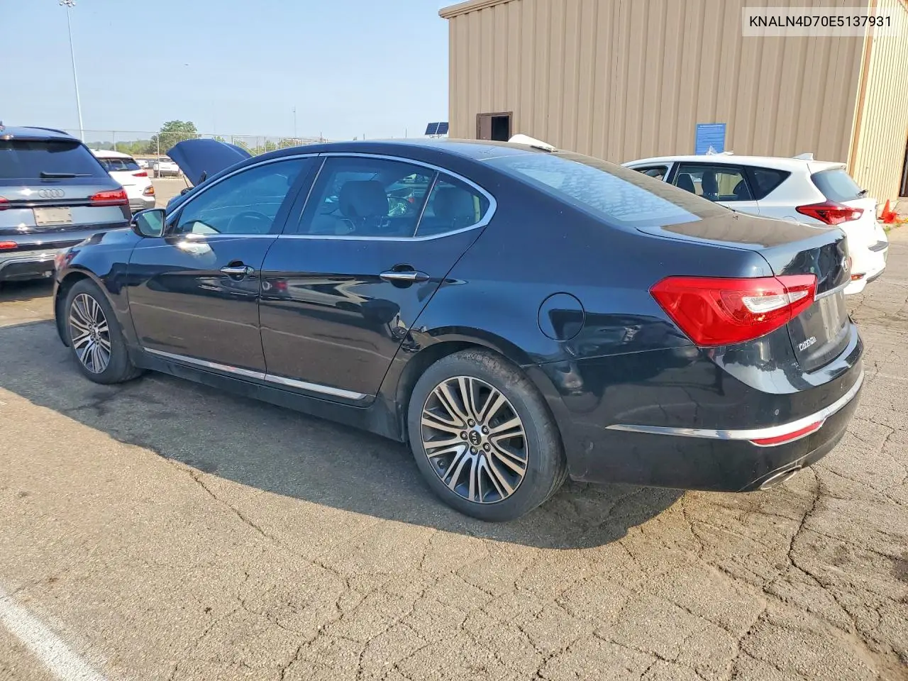 2014 Kia Cadenza Premium VIN: KNALN4D70E5137931 Lot: 60270606