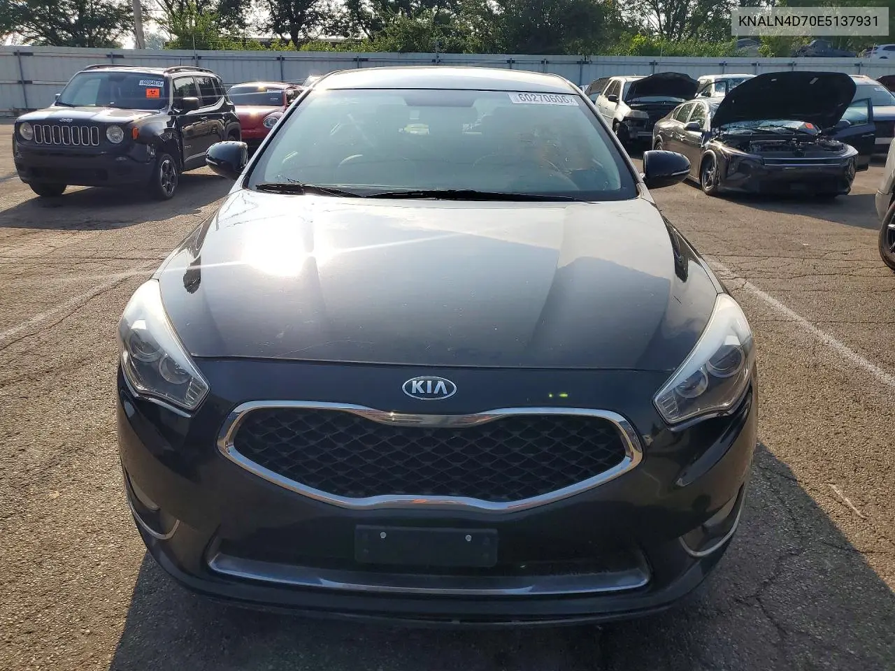 2014 Kia Cadenza Premium VIN: KNALN4D70E5137931 Lot: 60270606