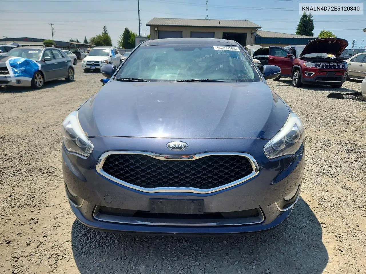 2014 Kia Cadenza Premium VIN: KNALN4D72E5120340 Lot: 60365166