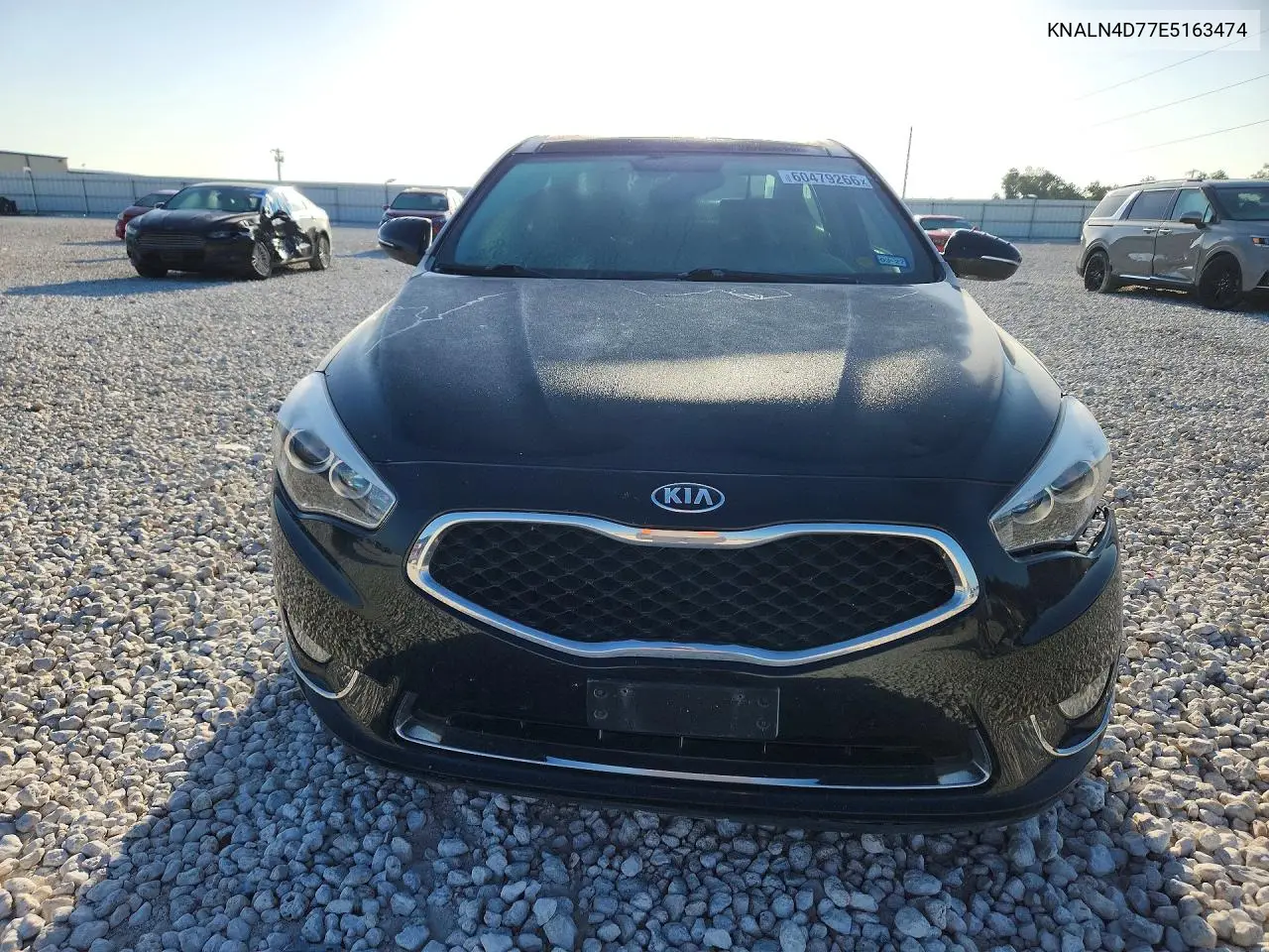 2014 Kia Cadenza Premium VIN: KNALN4D77E5163474 Lot: 60479266