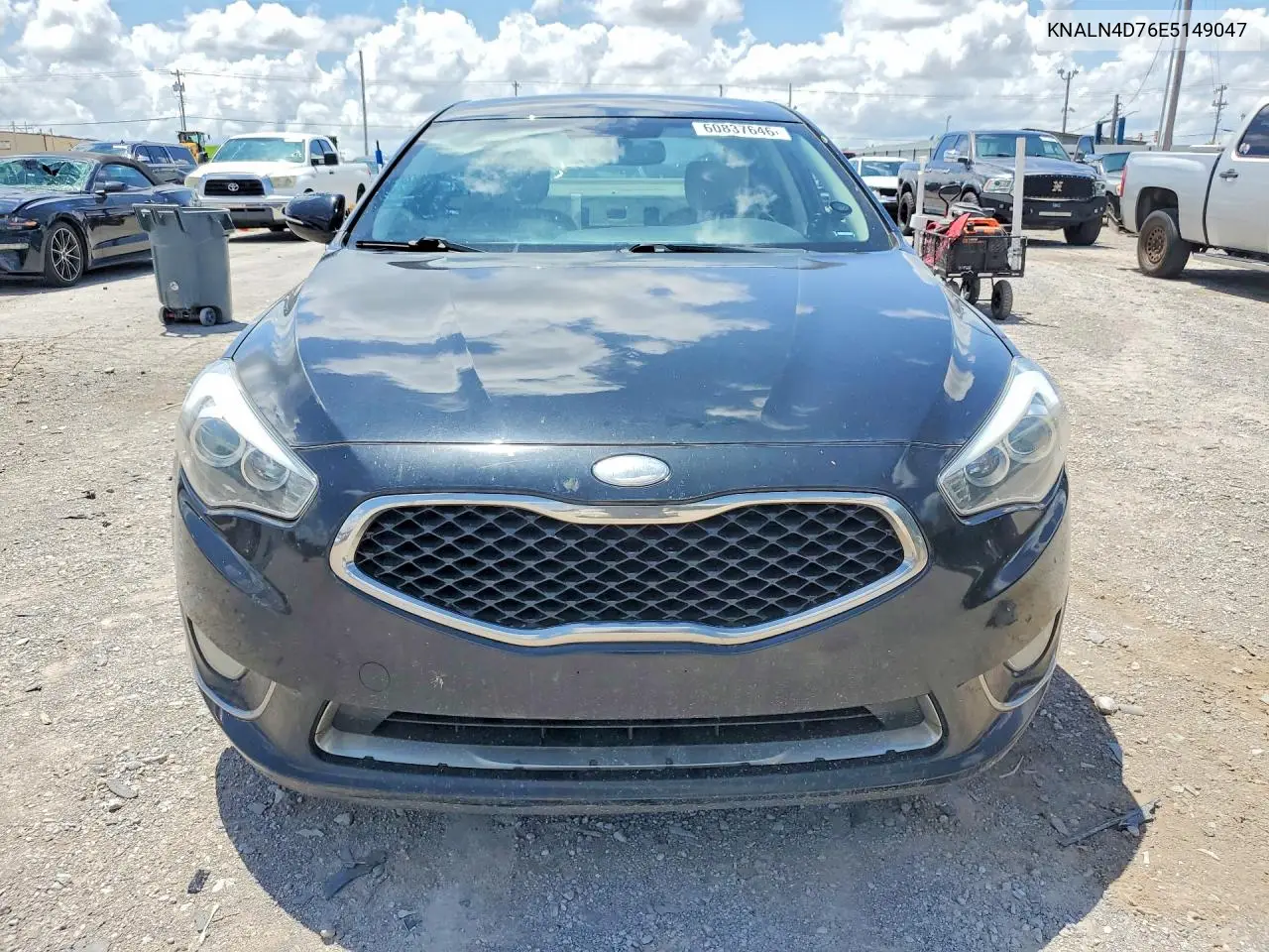 2014 Kia Cadenza Premium VIN: KNALN4D76E5149047 Lot: 60837646