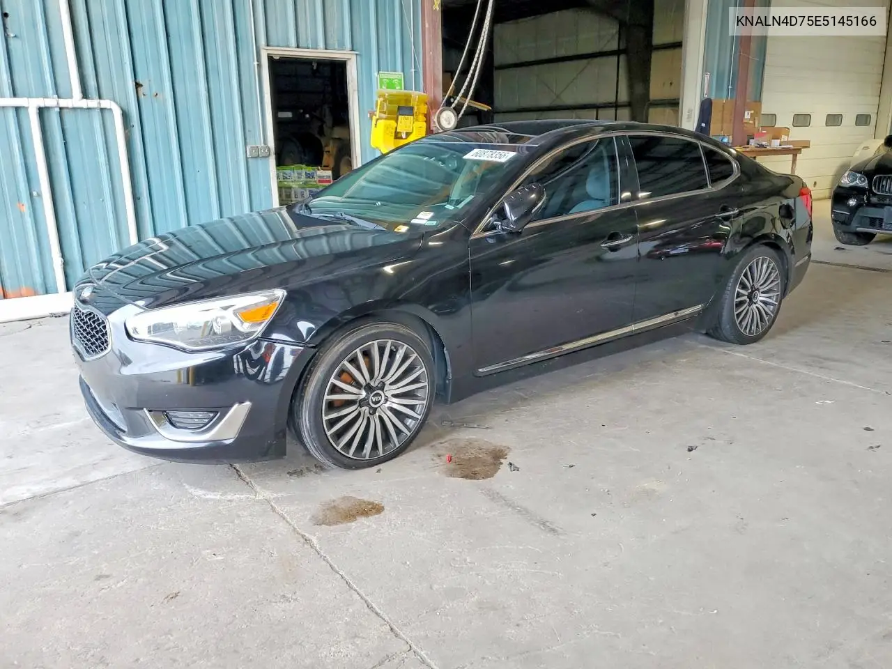 2014 Kia Cadenza Limited VIN: KNALN4D75E5145166 Lot: 60878356