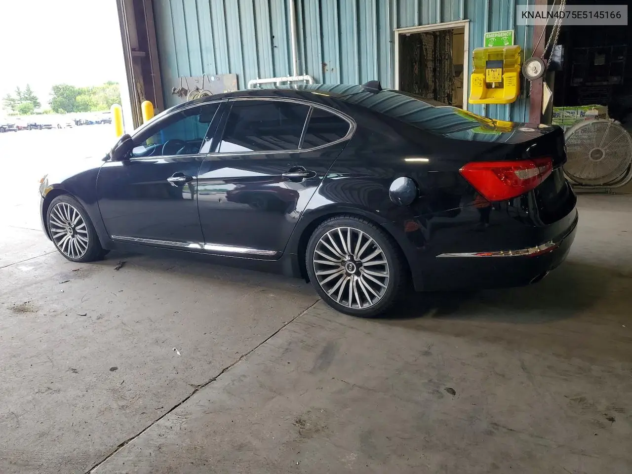 2014 Kia Cadenza Limited VIN: KNALN4D75E5145166 Lot: 60878356