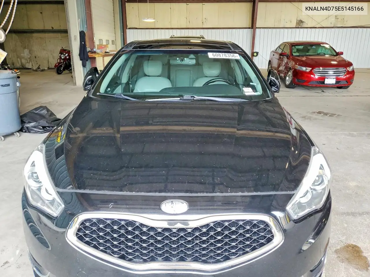 2014 Kia Cadenza Limited VIN: KNALN4D75E5145166 Lot: 60878356