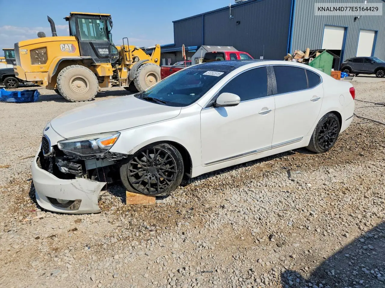 2014 Kia Cadenza Limited VIN: KNALN4D77E5164429 Lot: 61052516