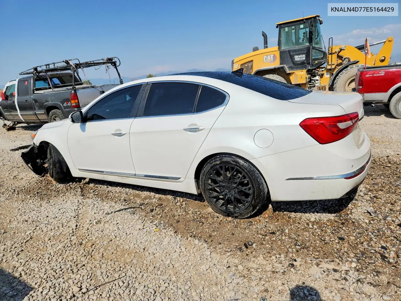 2014 Kia Cadenza Limited VIN: KNALN4D77E5164429 Lot: 61052516