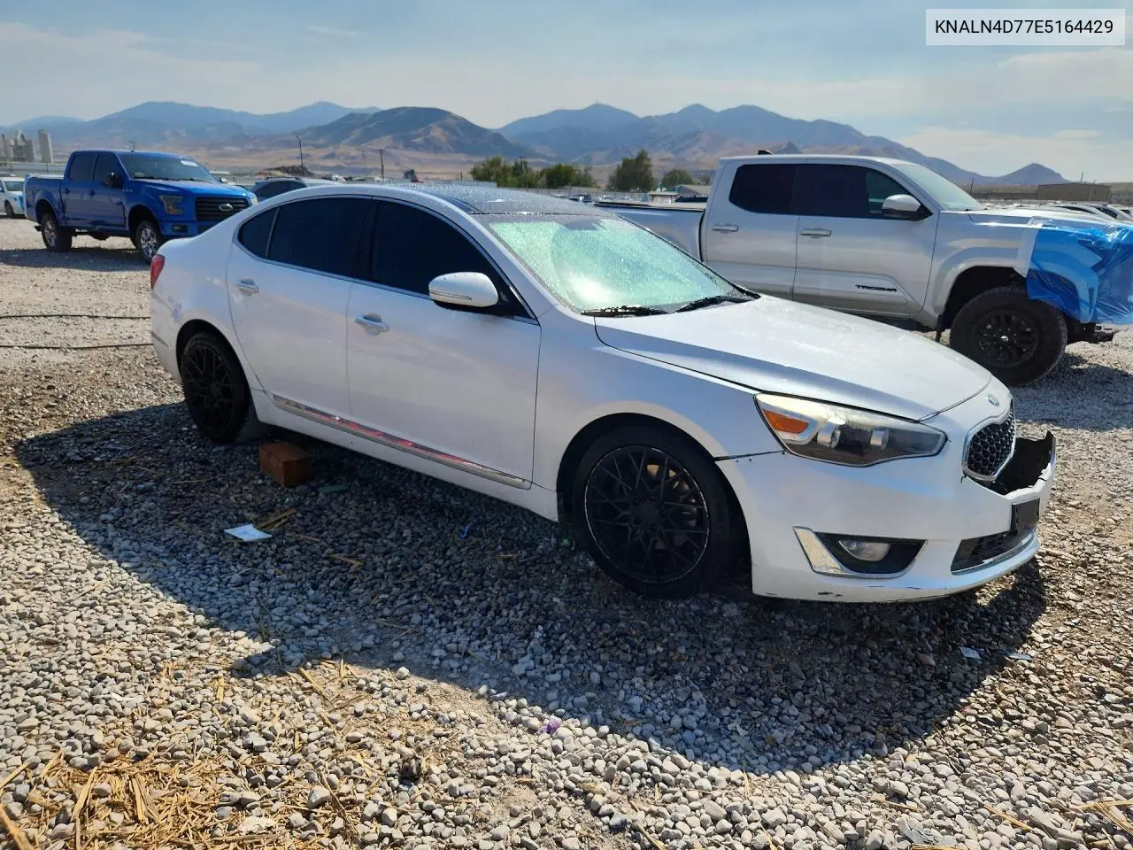 2014 Kia Cadenza Limited VIN: KNALN4D77E5164429 Lot: 61052516
