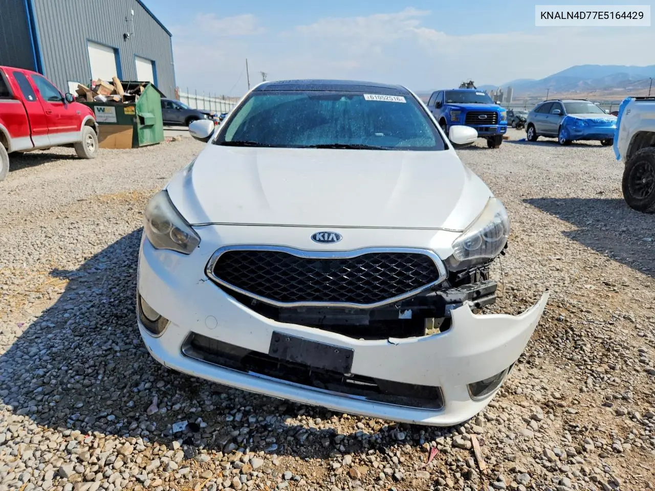2014 Kia Cadenza Limited VIN: KNALN4D77E5164429 Lot: 61052516