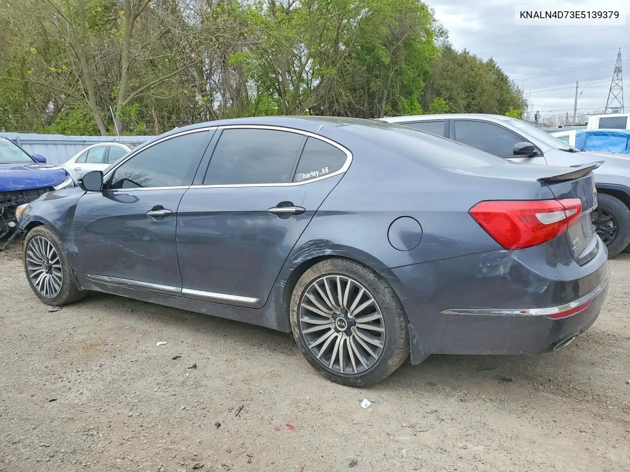 2014 Kia Cadenza Premium VIN: KNALN4D73E5139379 Lot: 61702436