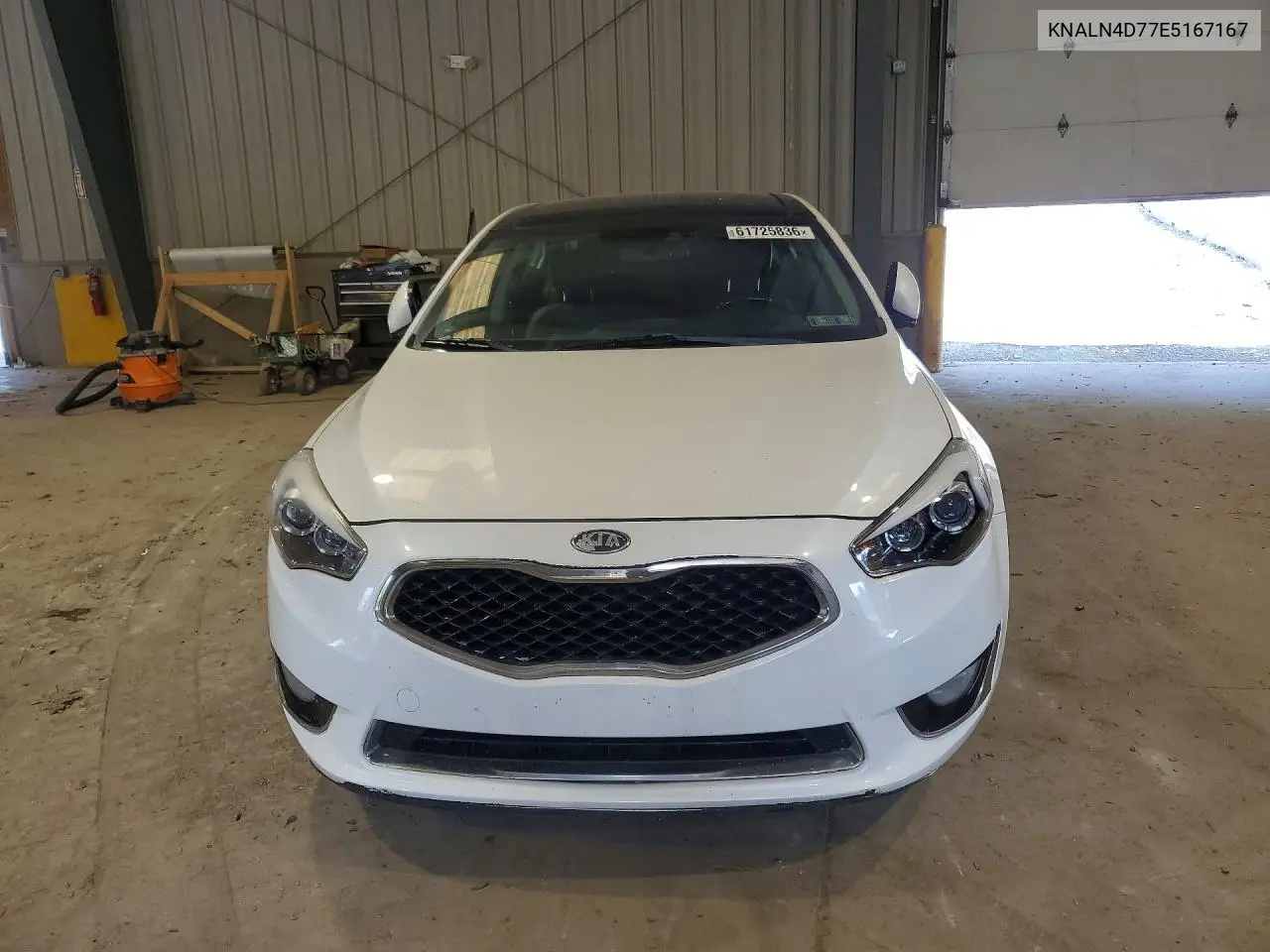 2014 Kia Cadenza Limited VIN: KNALN4D77E5167167 Lot: 61725836