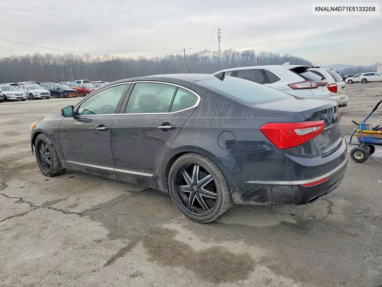 2014 Kia Cadenza Premium VIN: KNALN4D71E5133208 Lot: 77959755