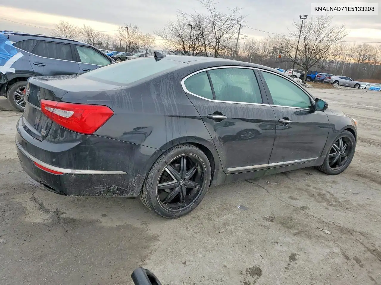 2014 Kia Cadenza Premium VIN: KNALN4D71E5133208 Lot: 77959755