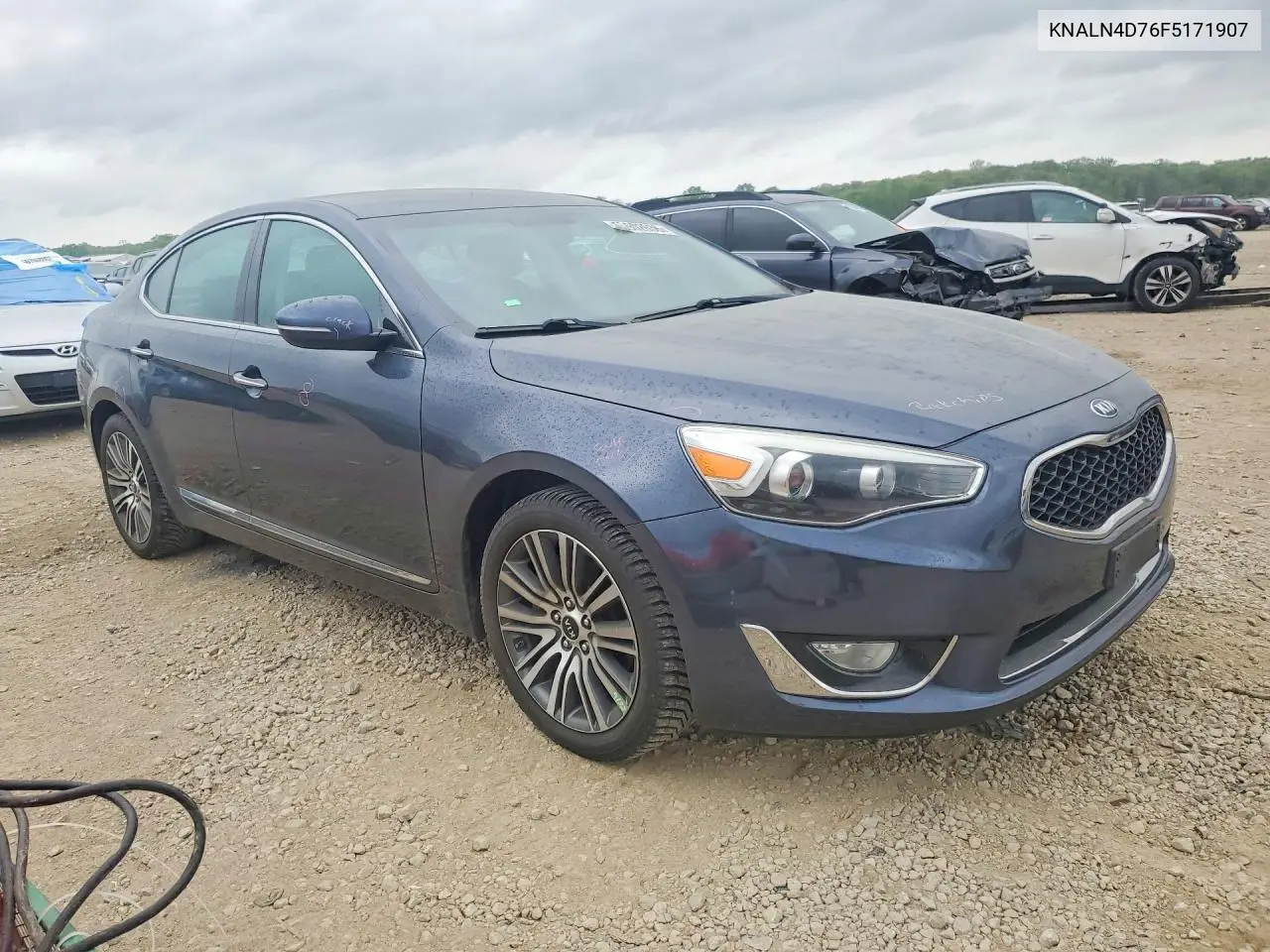 2015 Kia Cadenza Premium VIN: KNALN4D76F5171907 Lot: 50902636