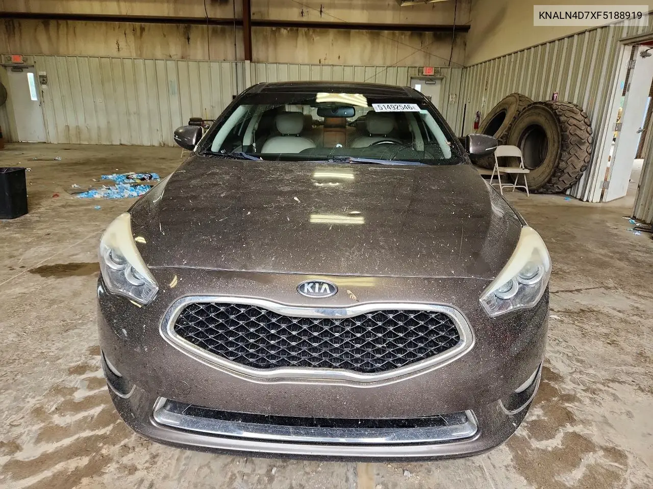 2015 Kia Cadenza Premium VIN: KNALN4D7XF5188919 Lot: 51492546