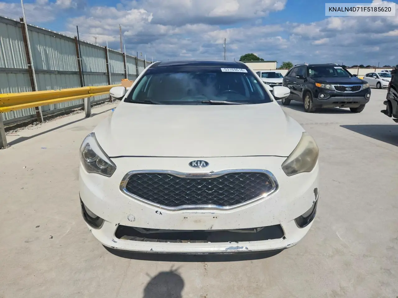 2015 Kia Cadenza Premium VIN: KNALN4D71F5185620 Lot: 53169616