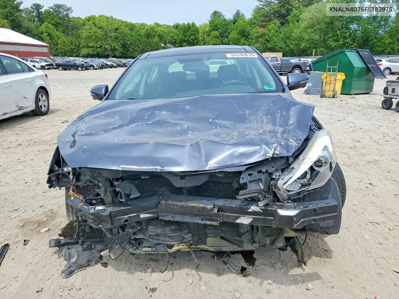 2015 Kia Cadenza Limited VIN: KNALN4D76F5183975 Lot: 54346816