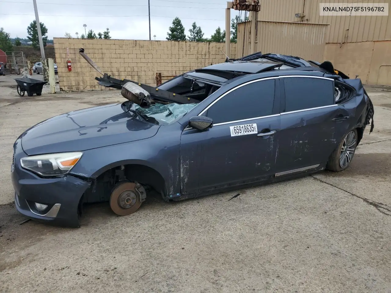 2015 Kia Cadenza Premium VIN: KNALN4D75F5196782 Lot: 55385566