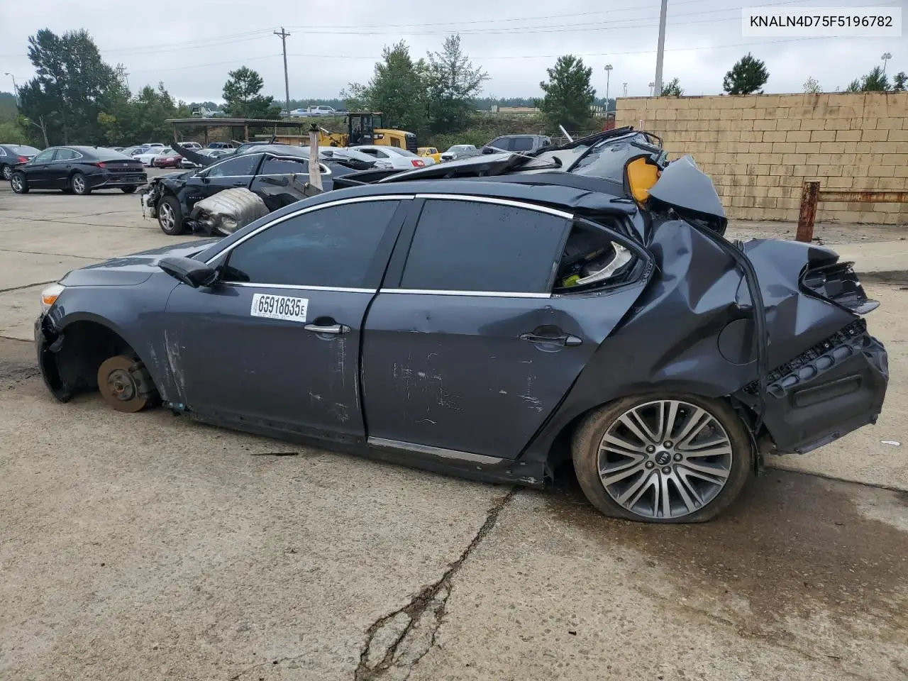 2015 Kia Cadenza Premium VIN: KNALN4D75F5196782 Lot: 55385566