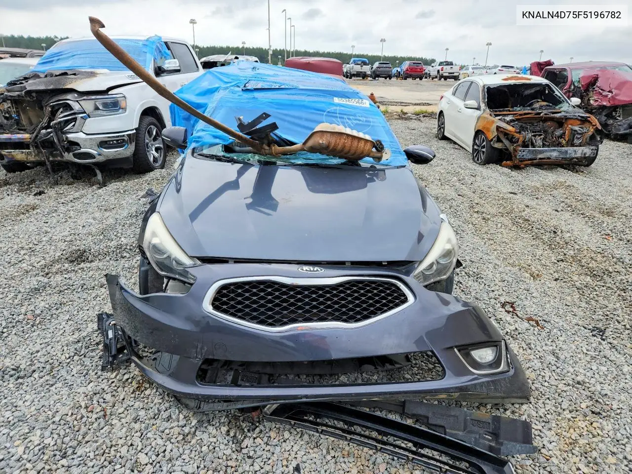 2015 Kia Cadenza Premium VIN: KNALN4D75F5196782 Lot: 55385566