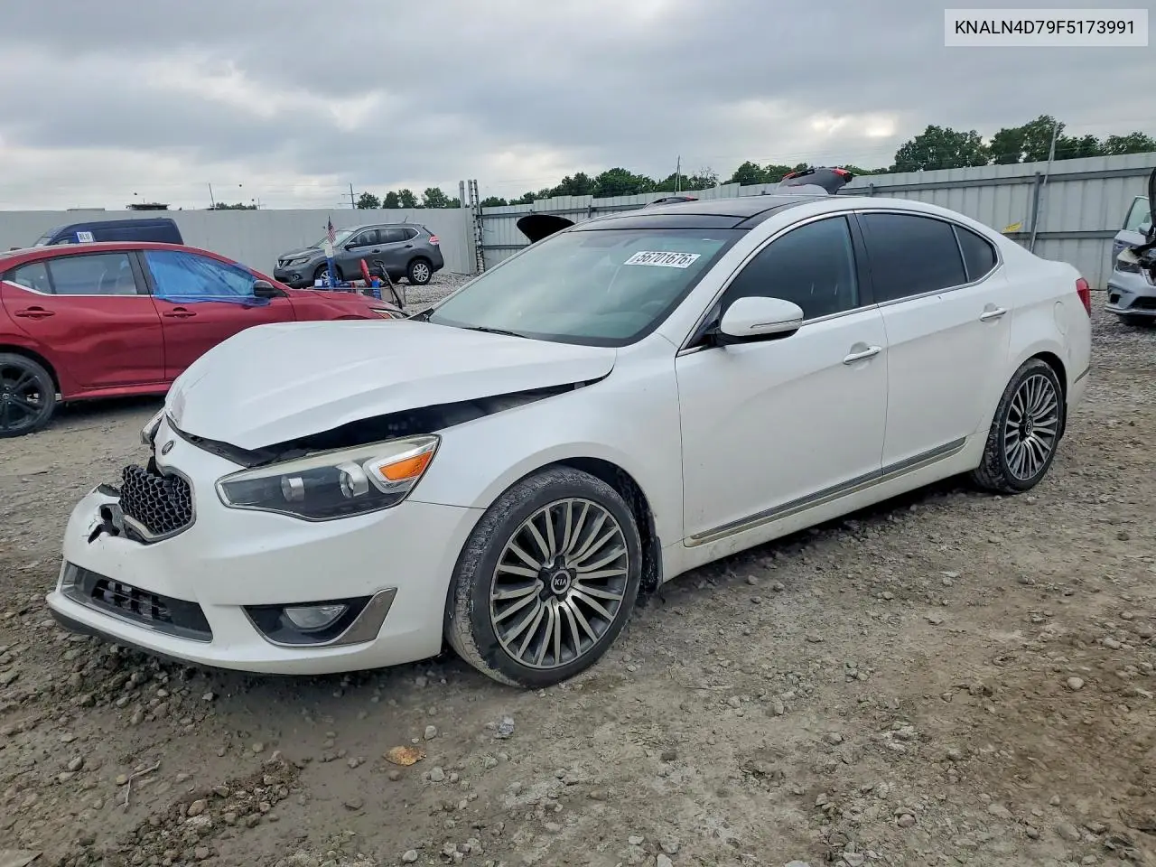 2015 Kia Cadenza Premium VIN: KNALN4D79F5173991 Lot: 56701676
