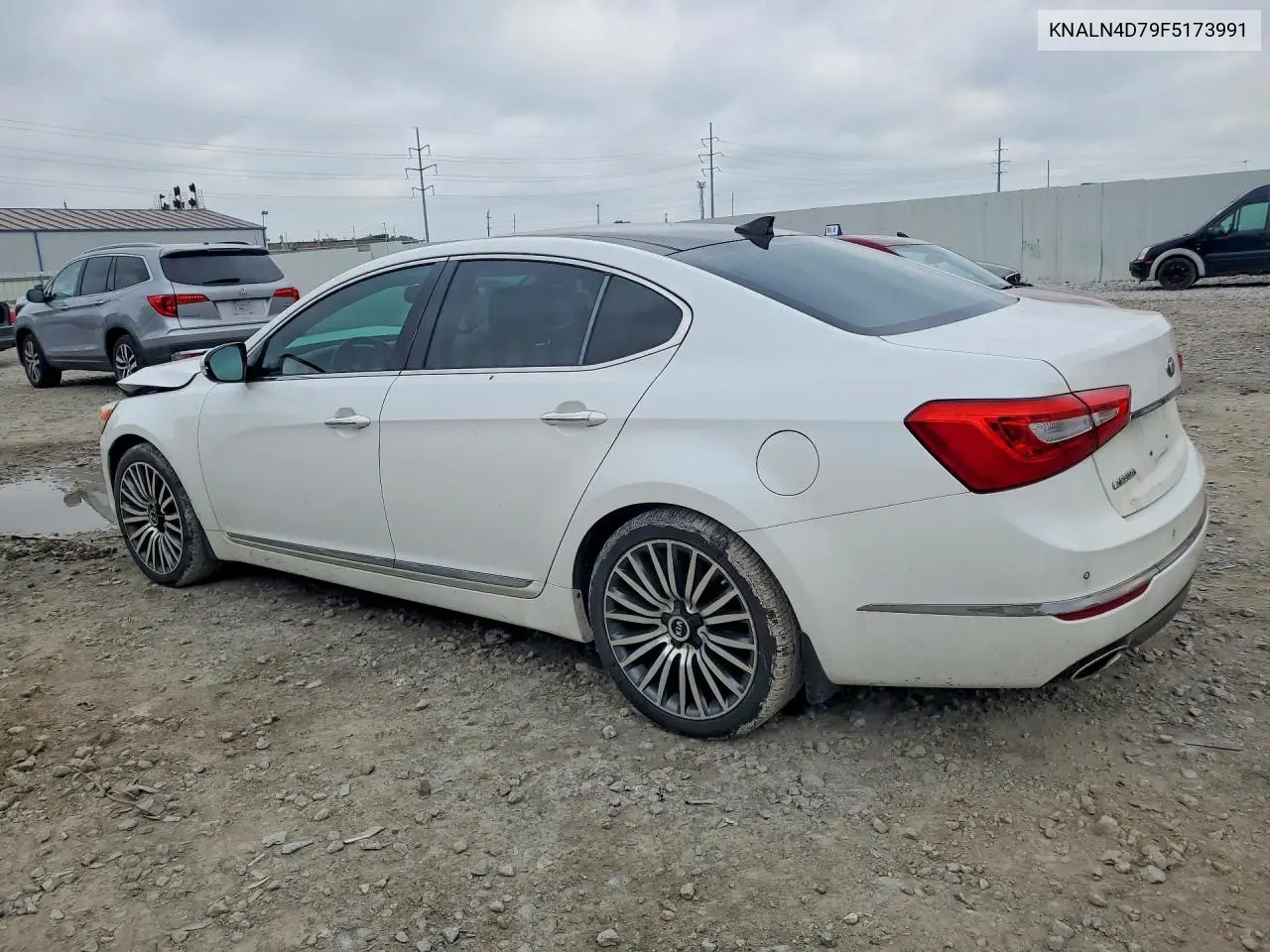 2015 Kia Cadenza Premium VIN: KNALN4D79F5173991 Lot: 56701676