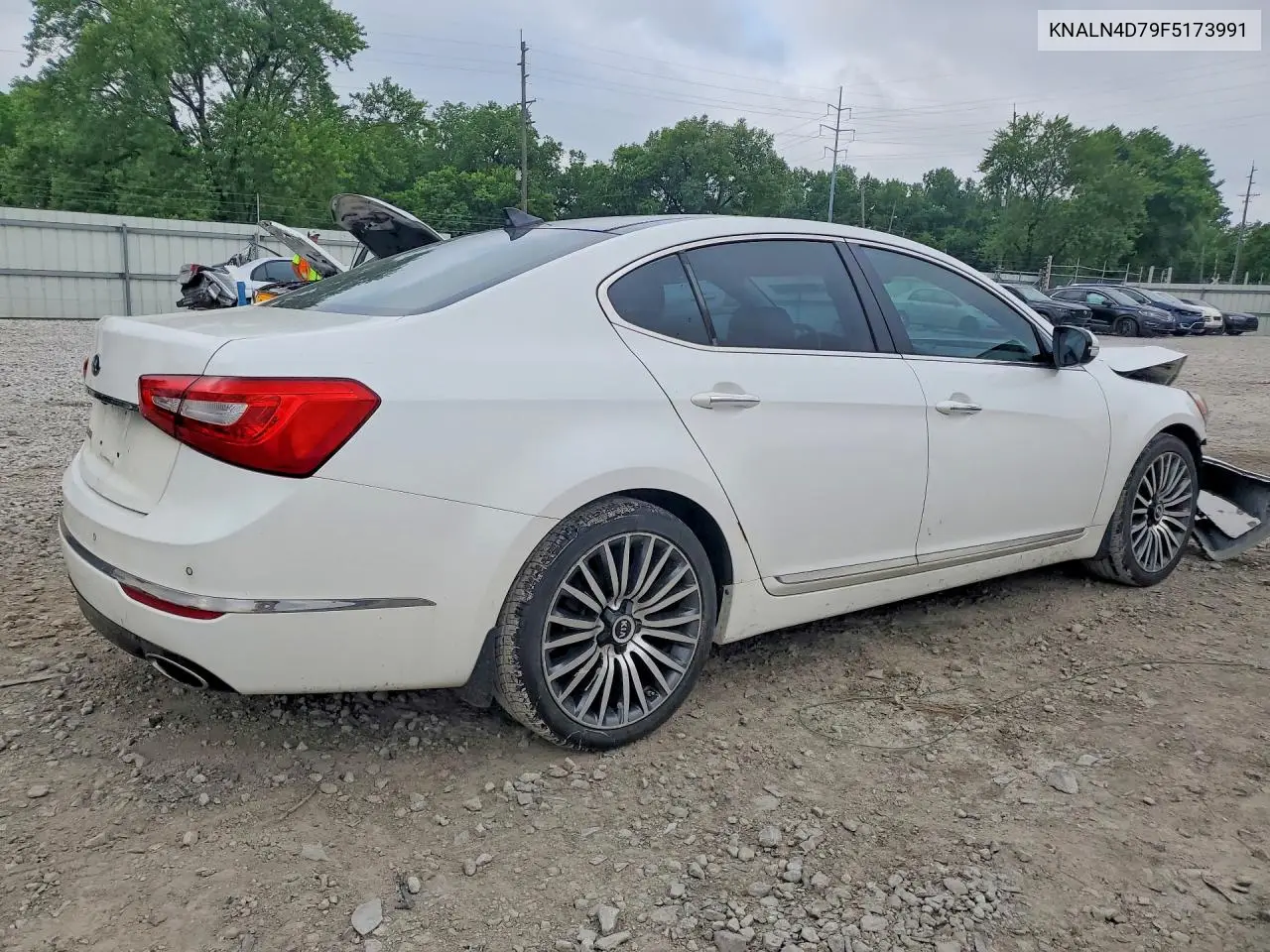 2015 Kia Cadenza Premium VIN: KNALN4D79F5173991 Lot: 56701676