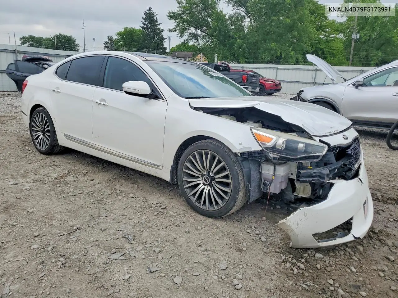 2015 Kia Cadenza Premium VIN: KNALN4D79F5173991 Lot: 56701676