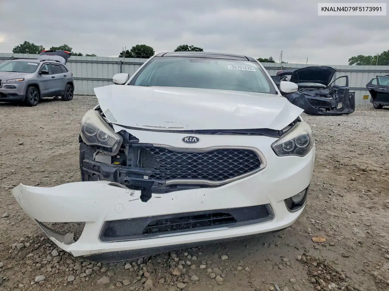 2015 Kia Cadenza Premium VIN: KNALN4D79F5173991 Lot: 56701676