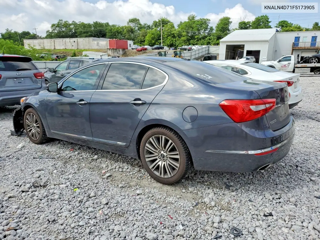2015 Kia Cadenza Premium VIN: KNALN4D71F5173905 Lot: 59533856