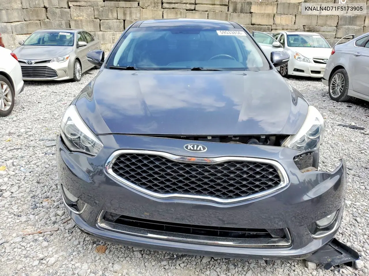 2015 Kia Cadenza Premium VIN: KNALN4D71F5173905 Lot: 59533856