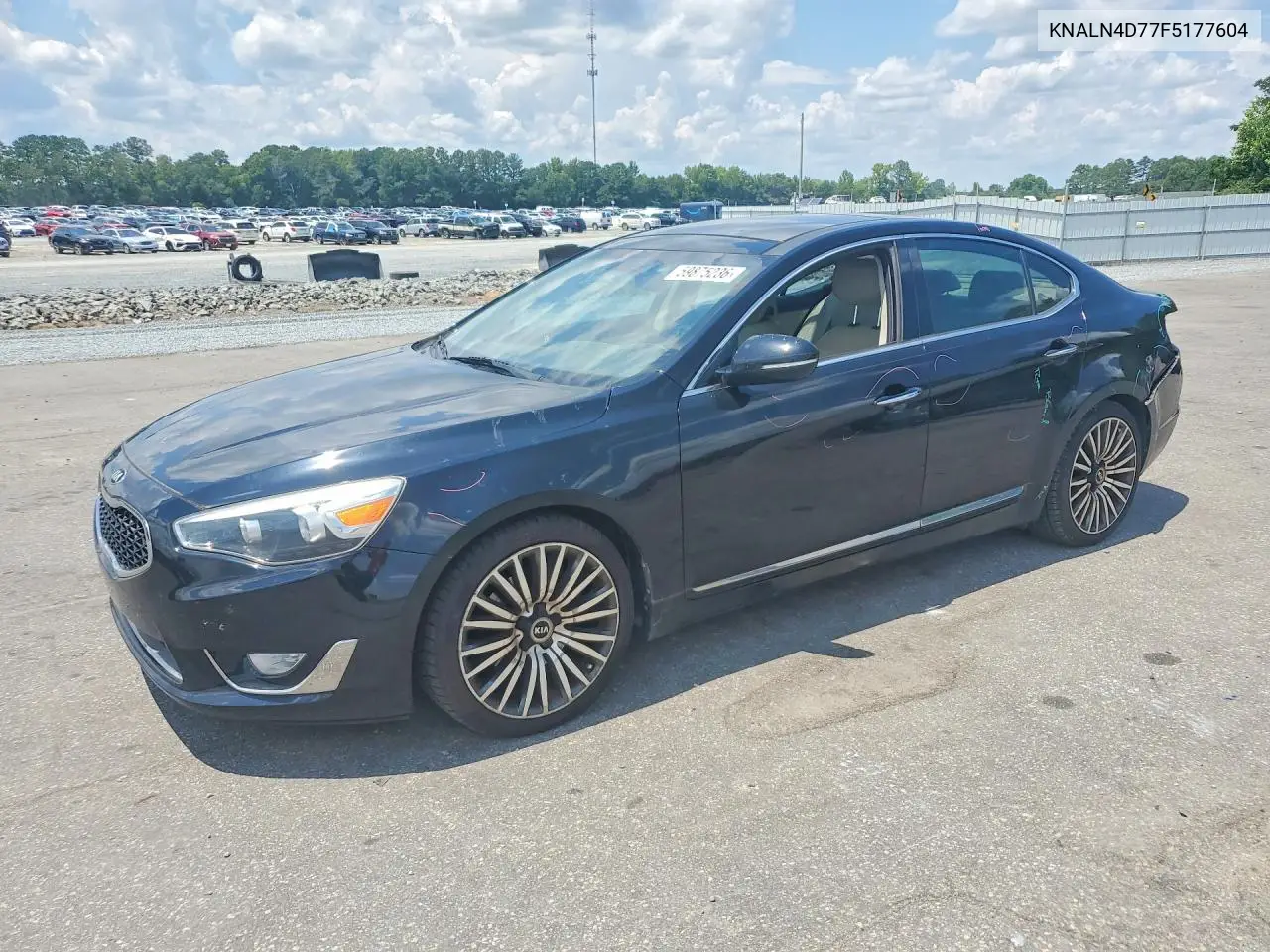 2015 Kia Cadenza Premium VIN: KNALN4D77F5177604 Lot: 59875236