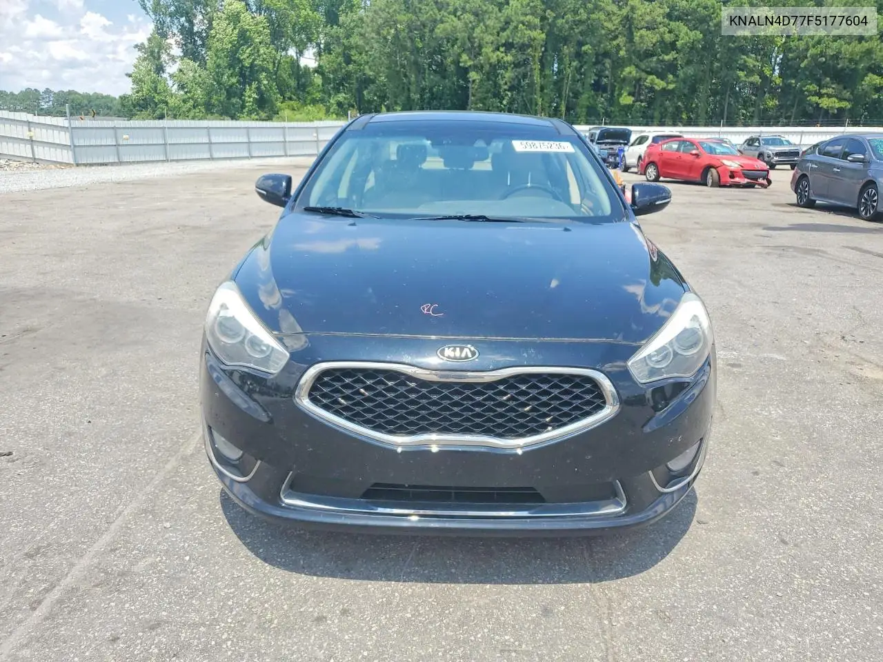 2015 Kia Cadenza Premium VIN: KNALN4D77F5177604 Lot: 59875236