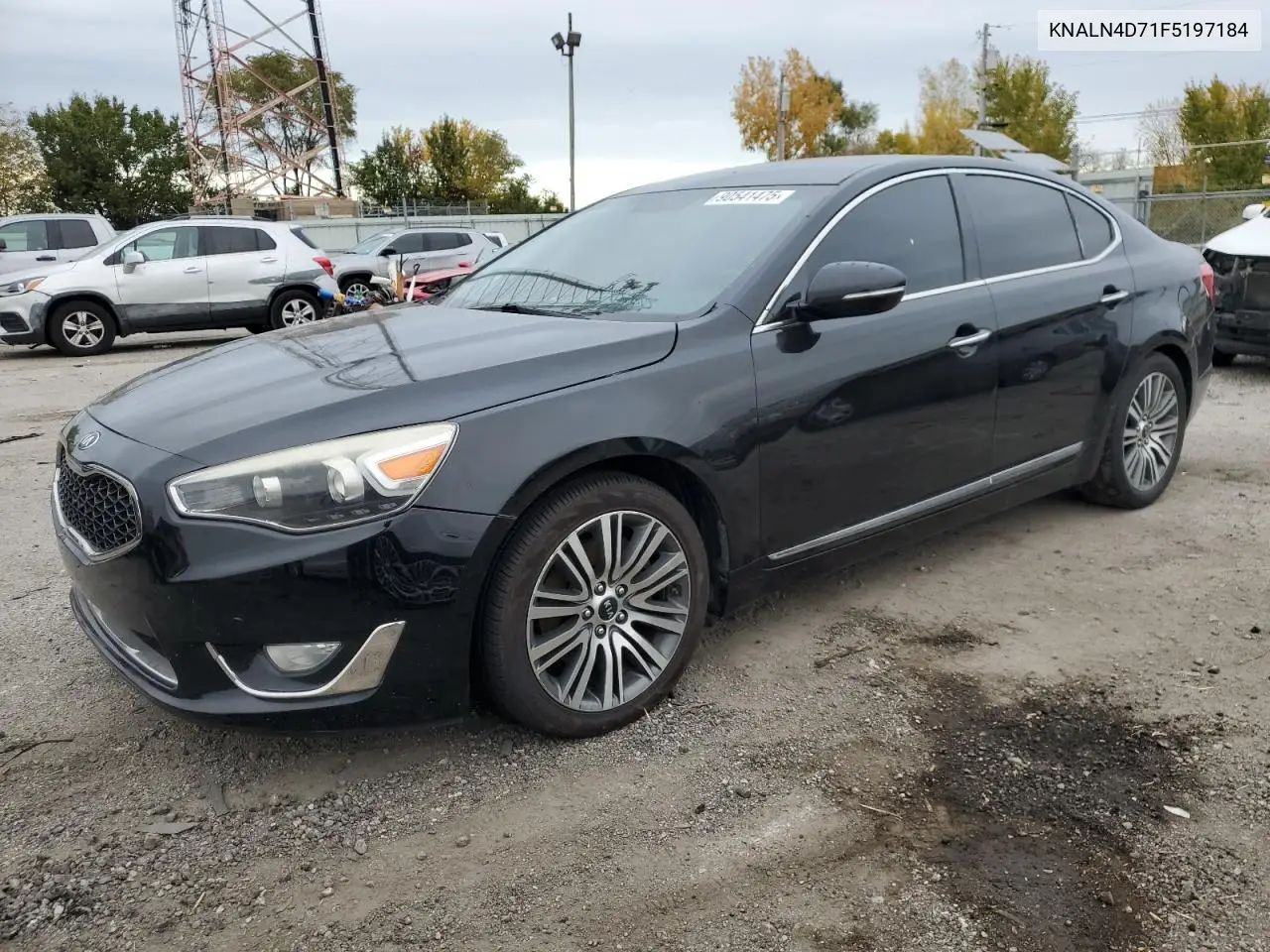2015 Kia Cadenza Premium VIN: KNALN4D71F5197184 Lot: 60341846