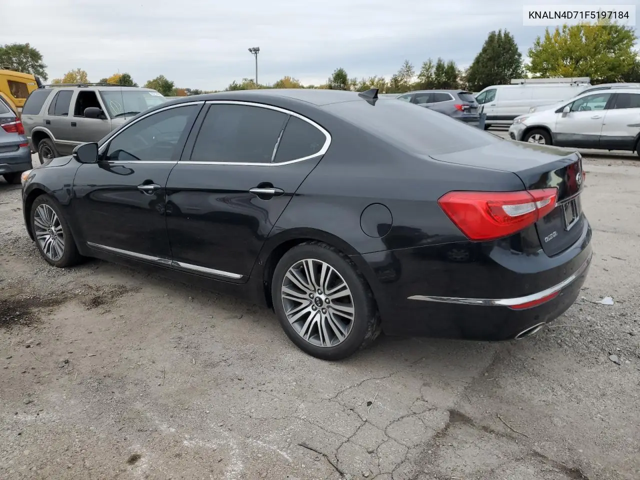2015 Kia Cadenza Premium VIN: KNALN4D71F5197184 Lot: 60341846