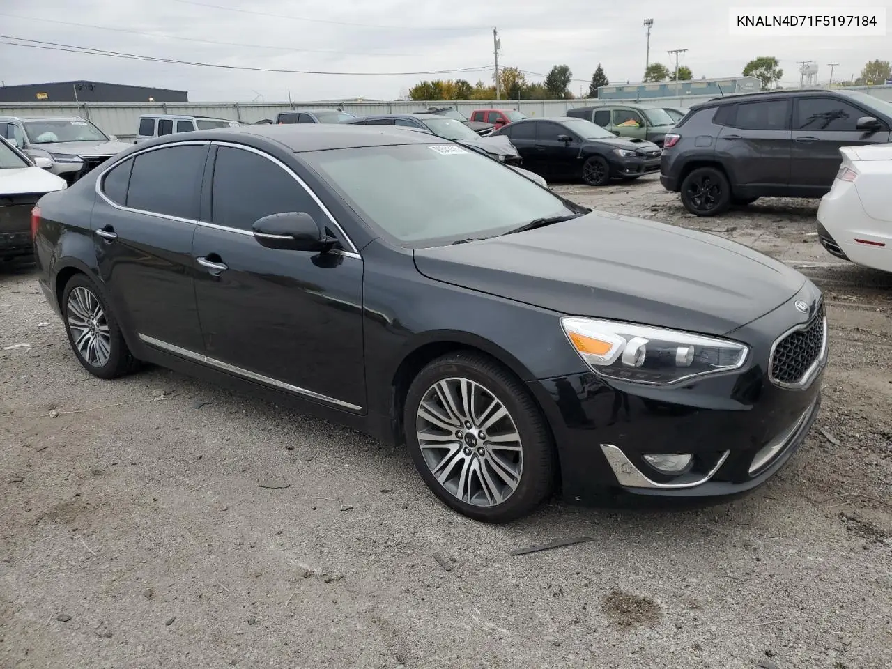 2015 Kia Cadenza Premium VIN: KNALN4D71F5197184 Lot: 60341846