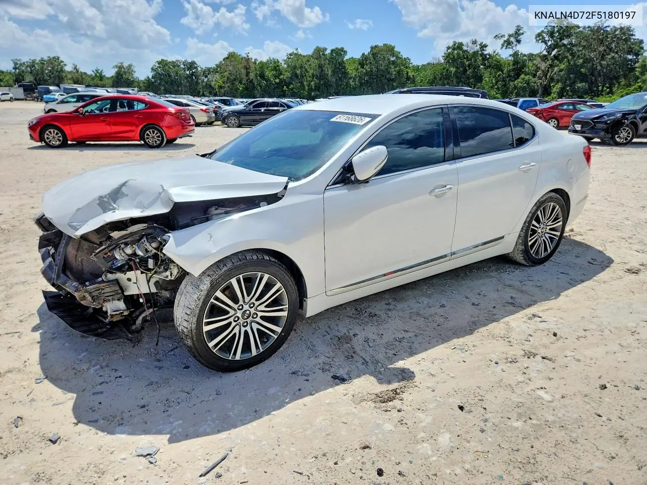 2015 Kia Cadenza Premium VIN: KNALN4D72F5180197 Lot: 61168626