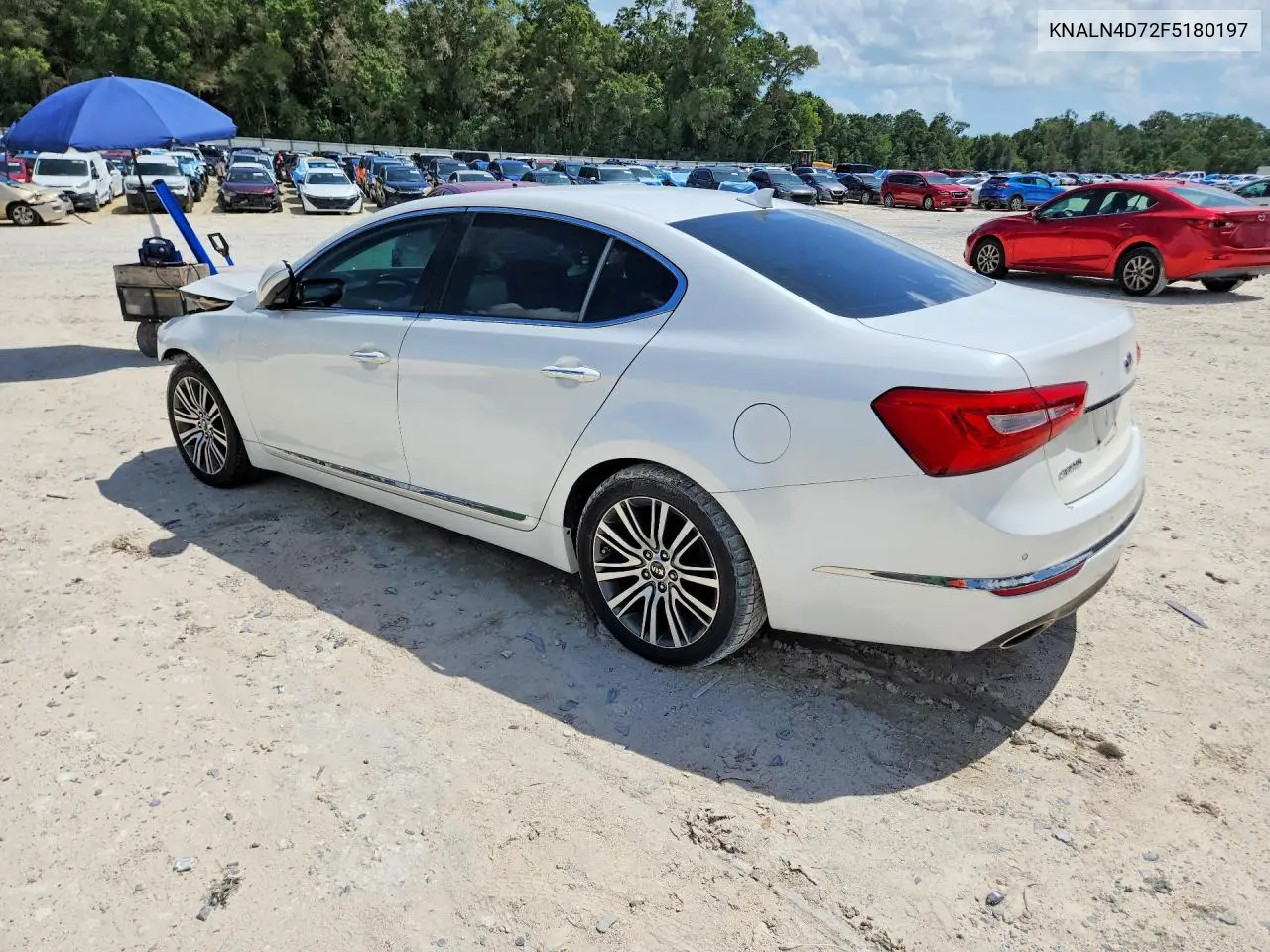 2015 Kia Cadenza Premium VIN: KNALN4D72F5180197 Lot: 61168626