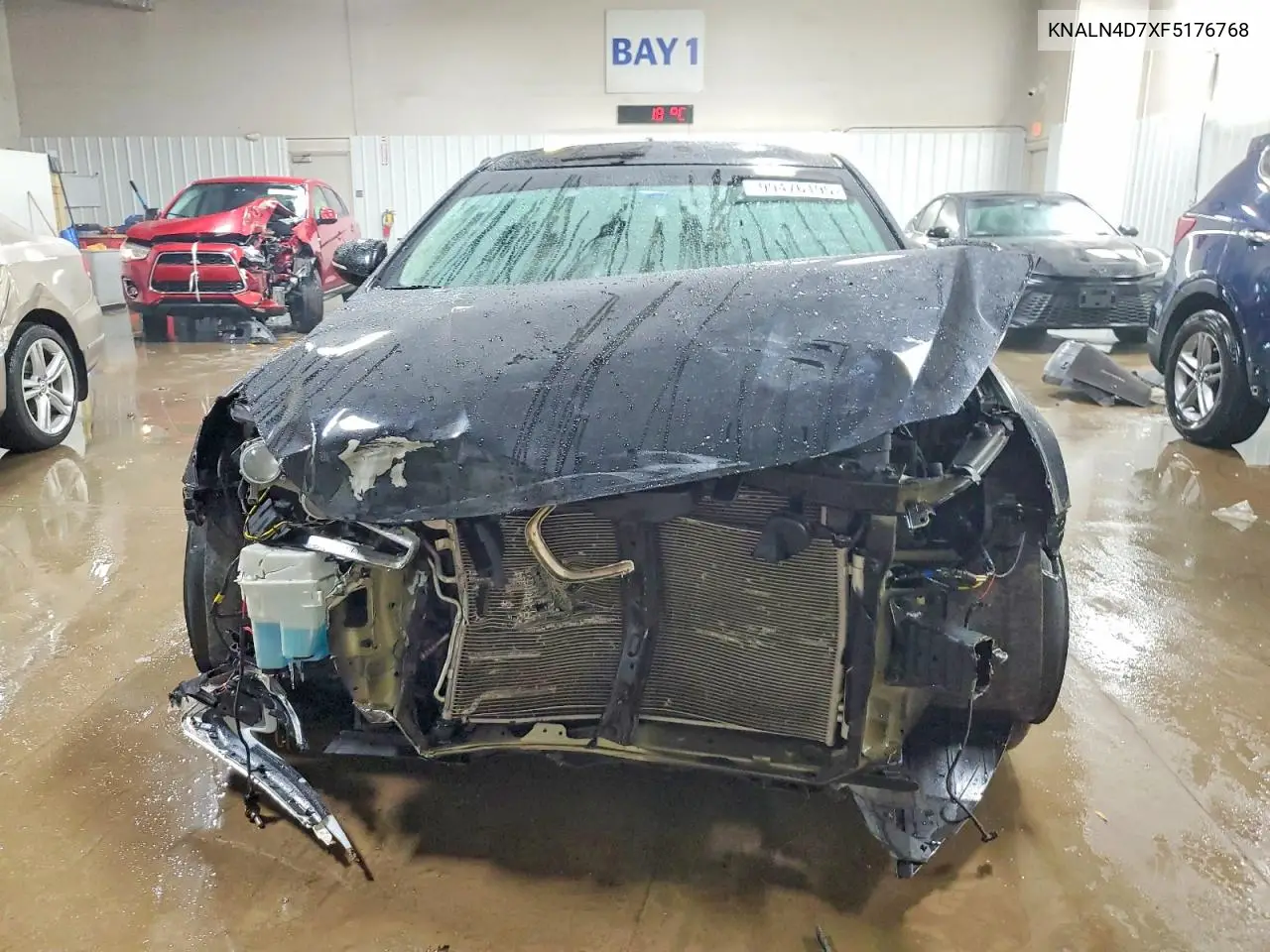 2015 Kia Cadenza Premium VIN: KNALN4D7XF5176768 Lot: 99476195
