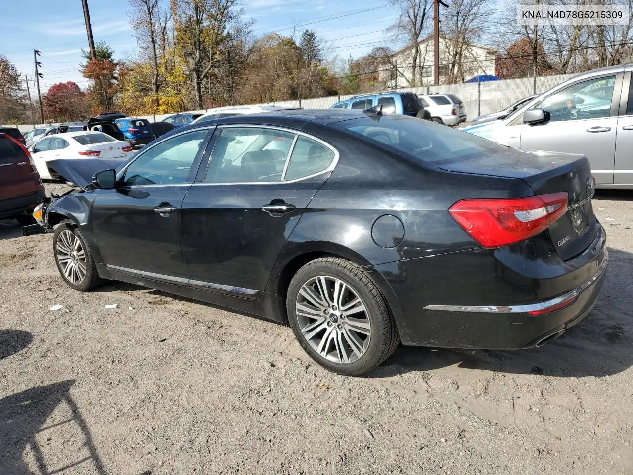 2016 Kia Cadenza Luxury VIN: KNALN4D78G5215309 Lot: 91484145