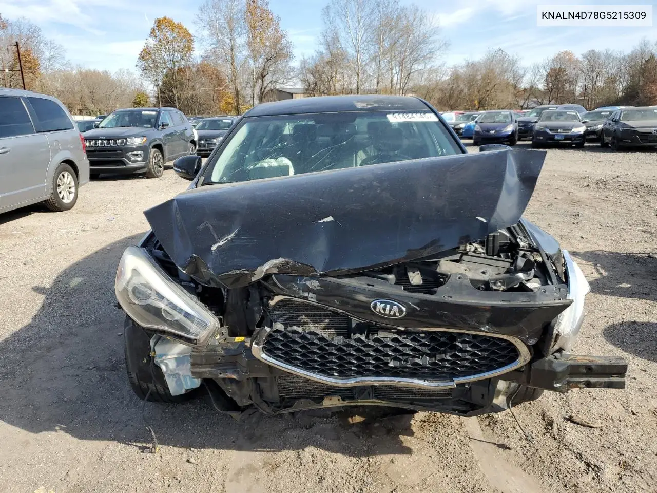 2016 Kia Cadenza Luxury VIN: KNALN4D78G5215309 Lot: 91484145