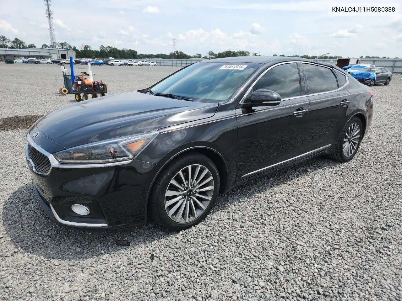 2017 Kia Cadenza Premium VIN: KNALC4J11H5080388 Lot: 53464956