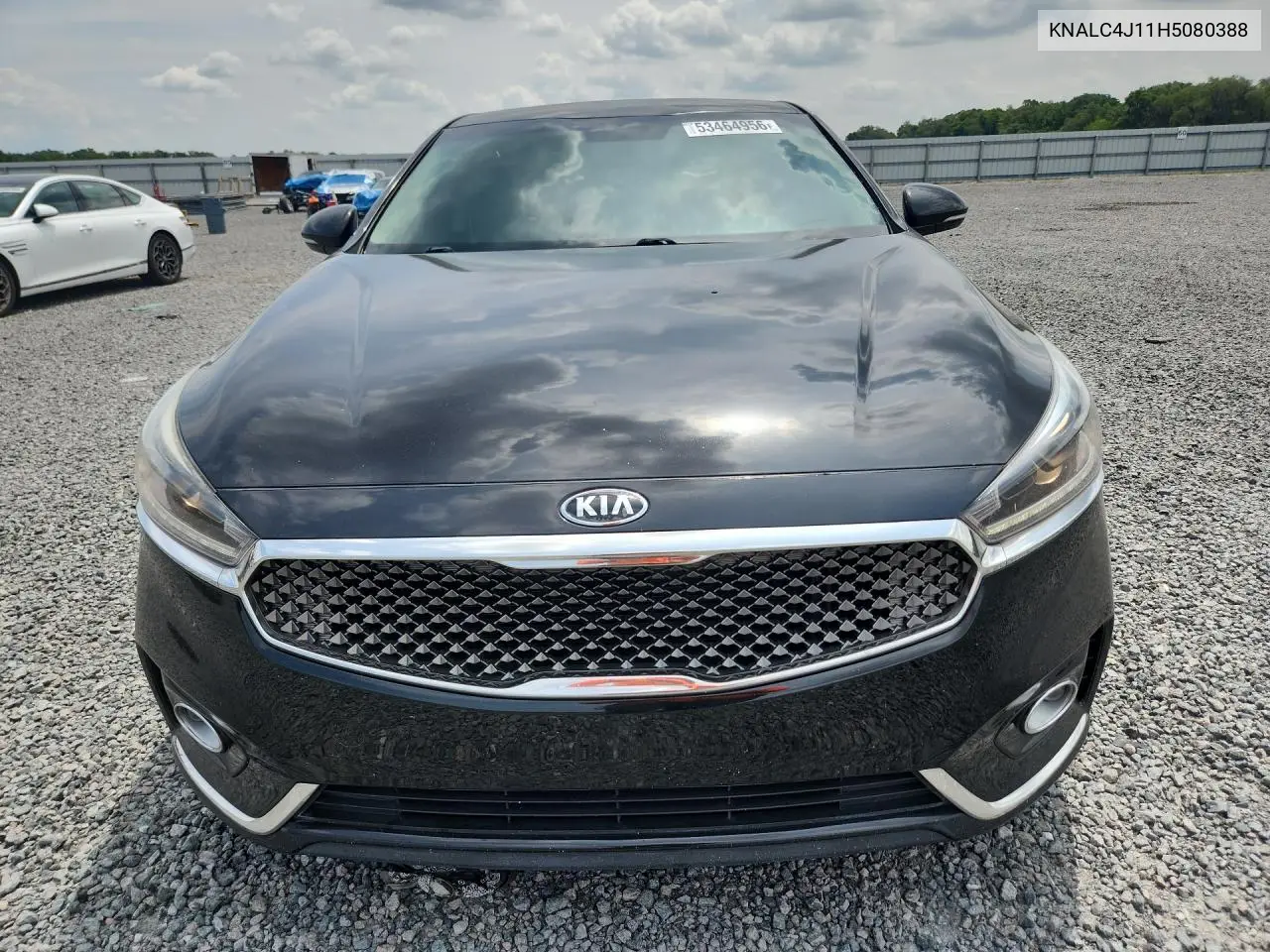 2017 Kia Cadenza Premium VIN: KNALC4J11H5080388 Lot: 53464956