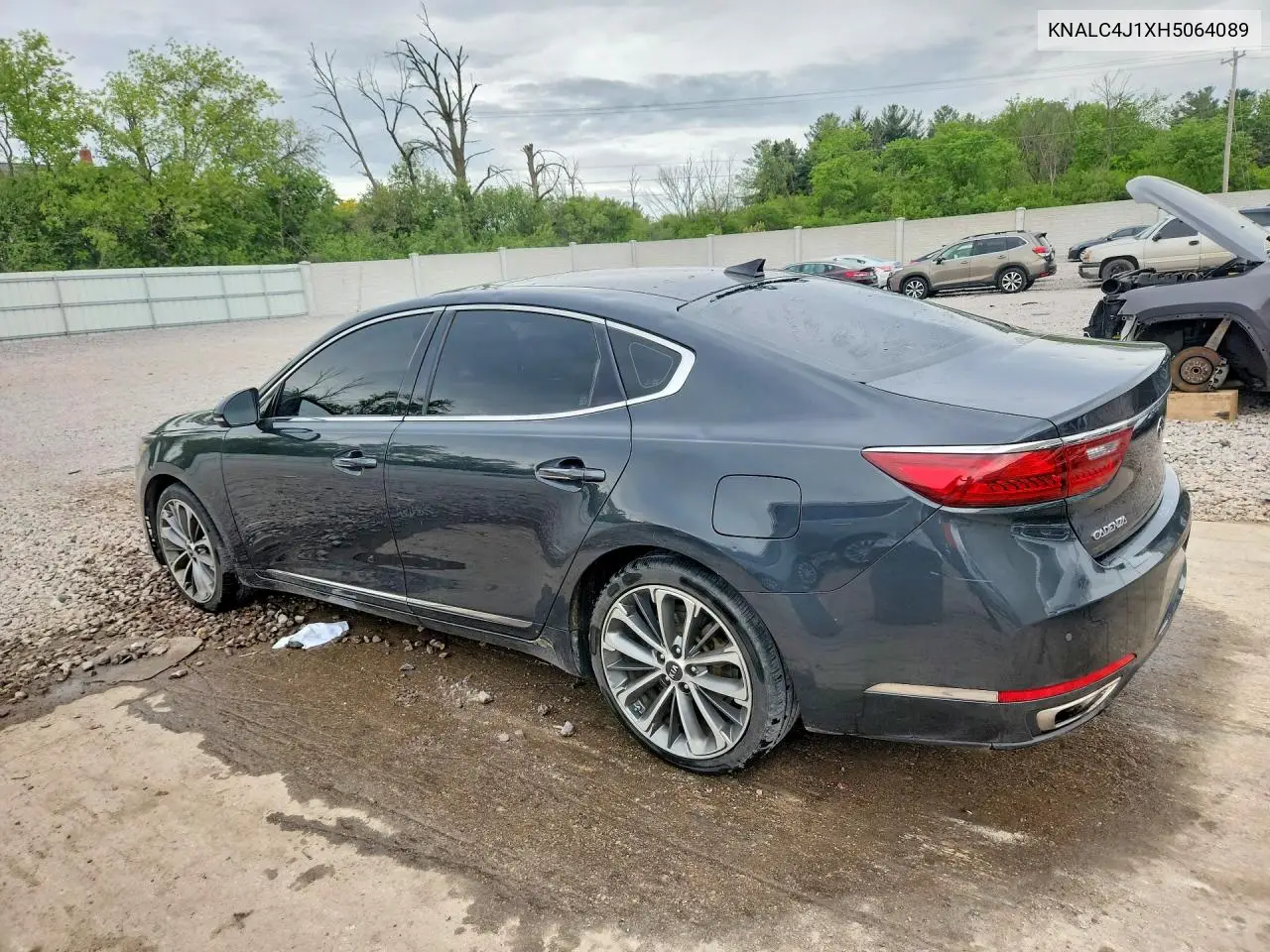 2017 Kia Cadenza Technology VIN: KNALC4J1XH5064089 Lot: 54613996