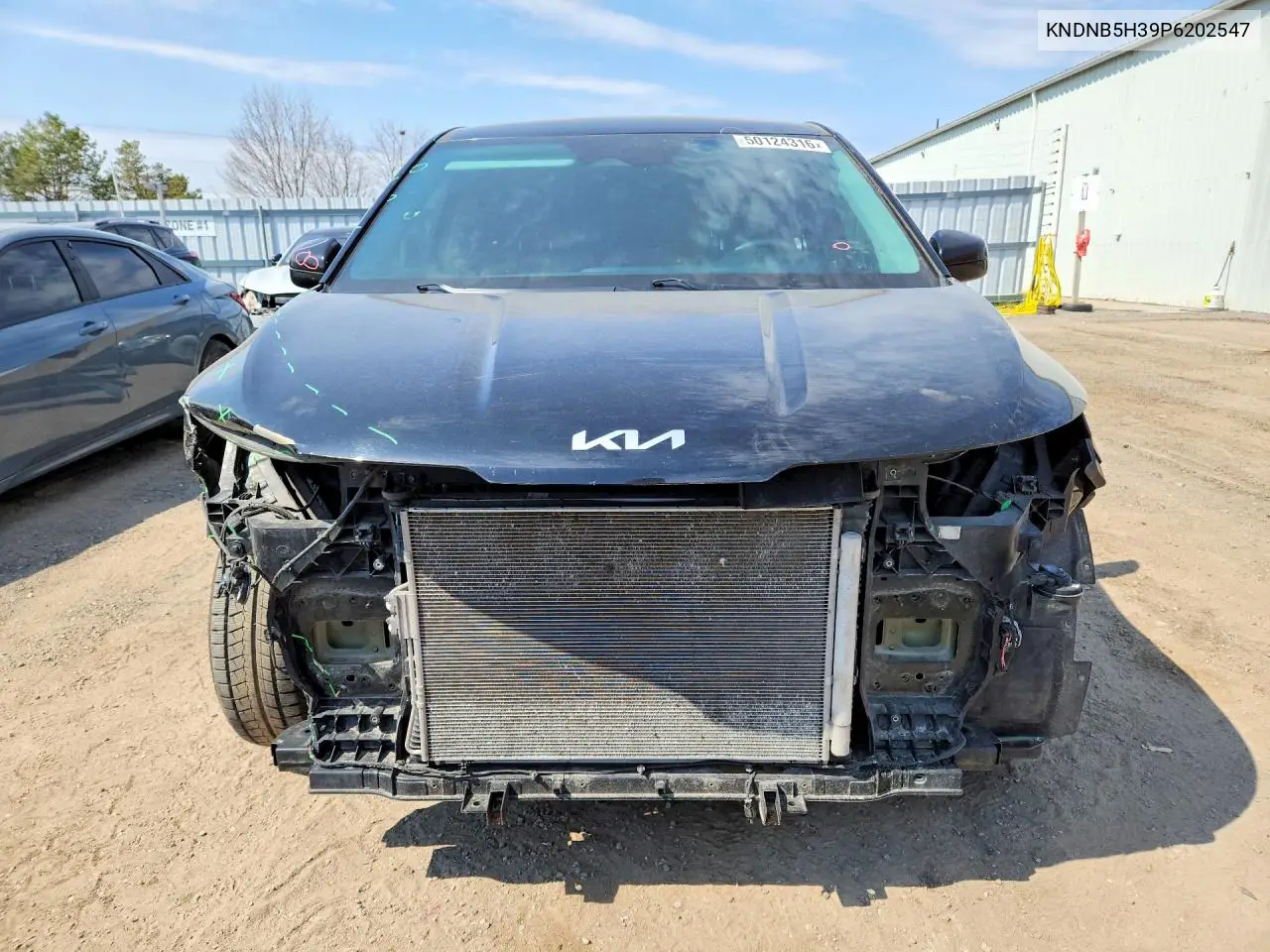 2023 Kia Carnival Lx VIN: KNDNB5H39P6202547 Lot: 50124316
