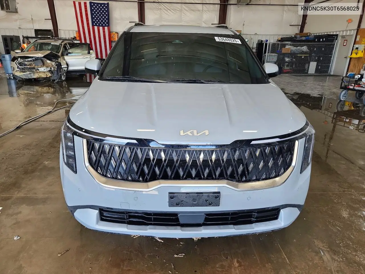 2026 Kia Carnival Ex VIN: KNDNC5K30T6568025 Lot: 53648026