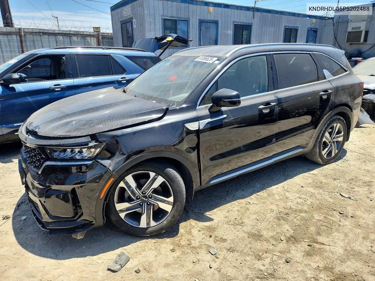 2023 Kia Ev6 VIN: KNDRHDLG5P5202488 Lot: 61856626