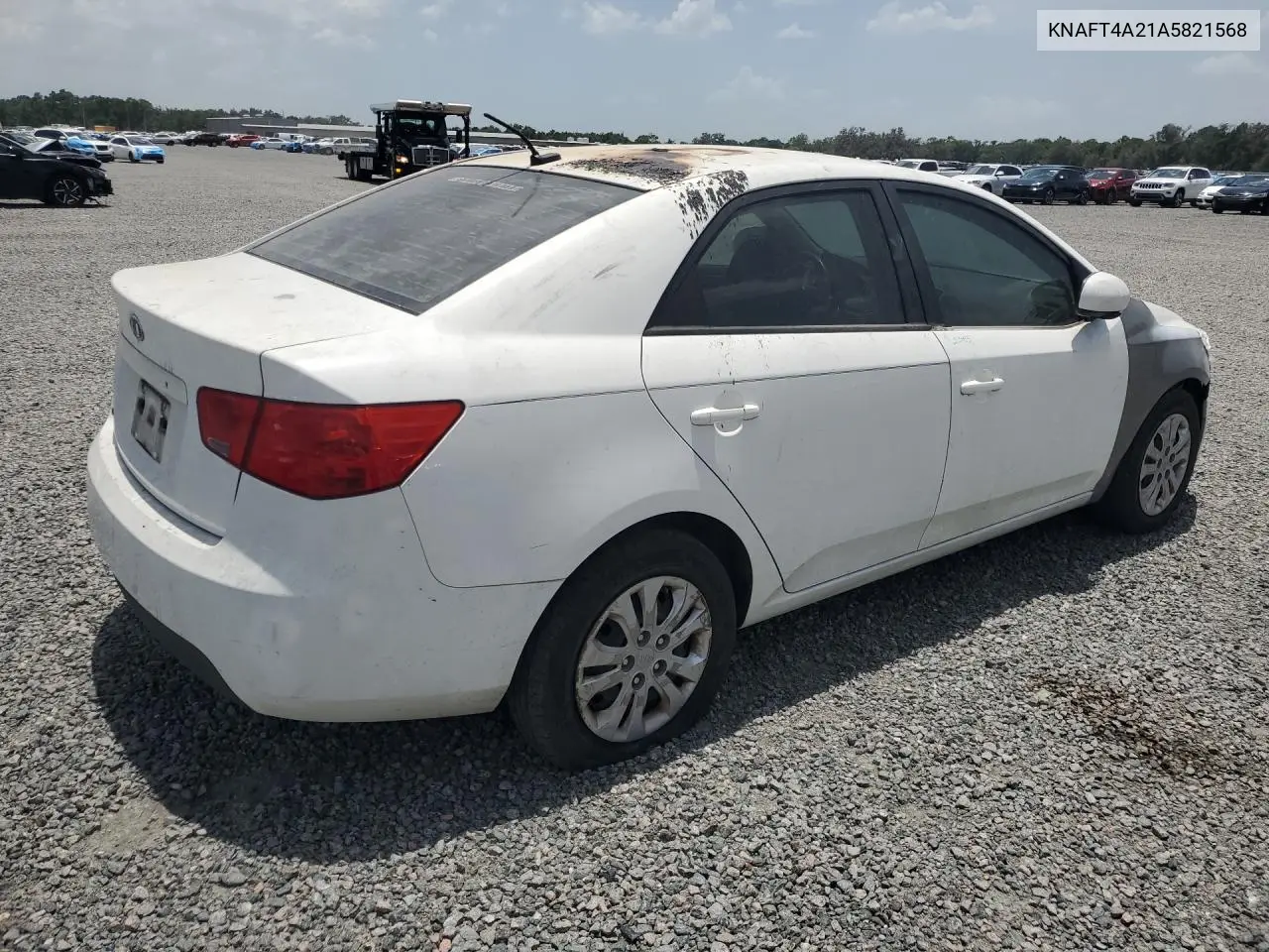 2010 Kia Forte Lx VIN: KNAFT4A21A5821568 Lot: 60414566