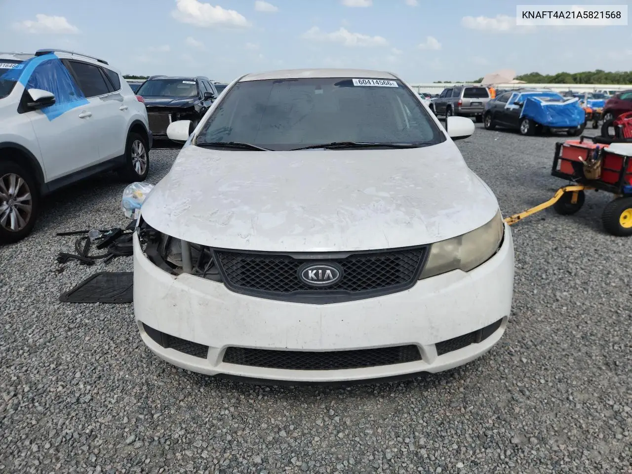 2010 Kia Forte Lx VIN: KNAFT4A21A5821568 Lot: 60414566