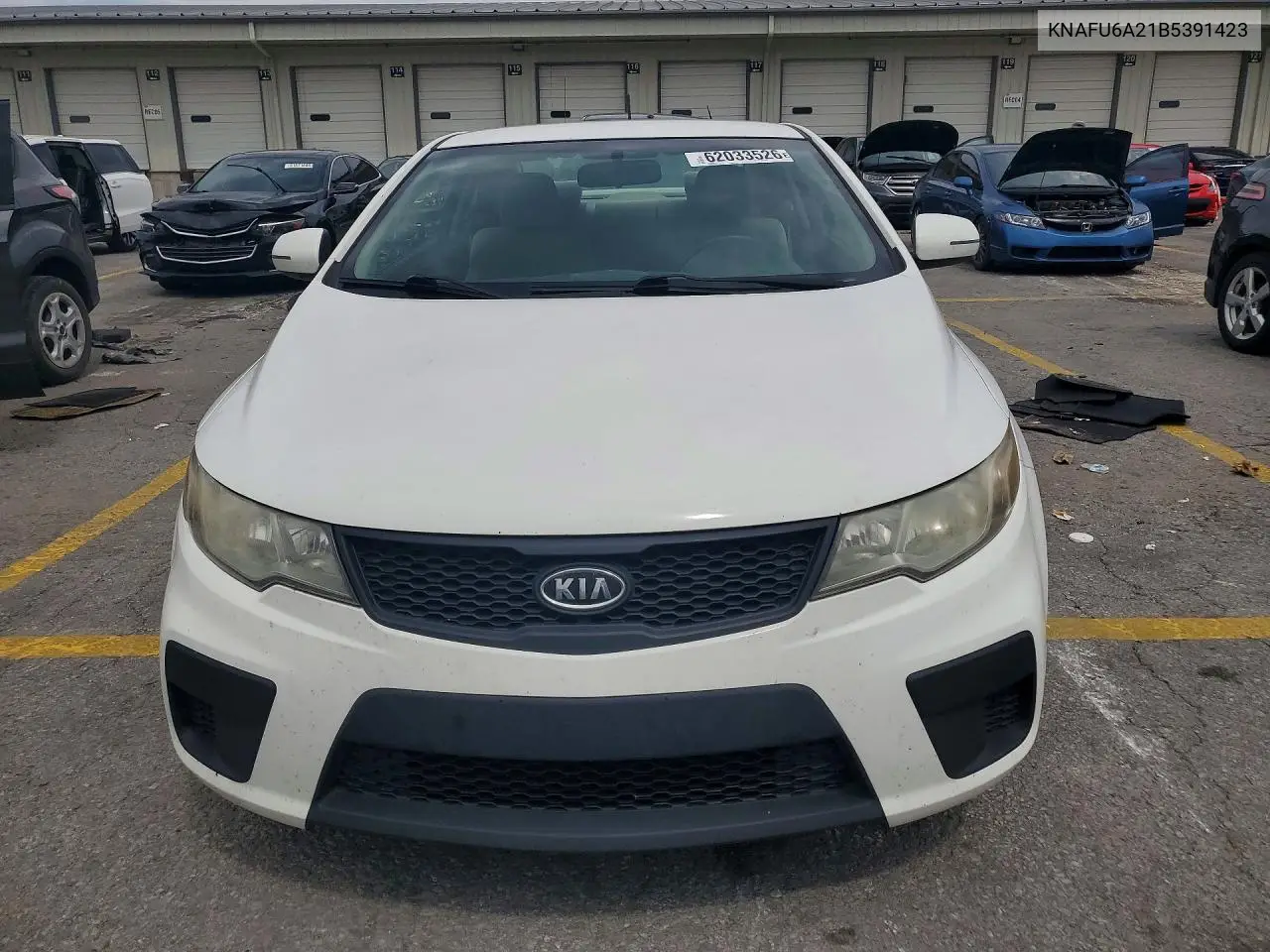 2011 Kia Forte Ex VIN: KNAFU6A21B5391423 Lot: 62033526