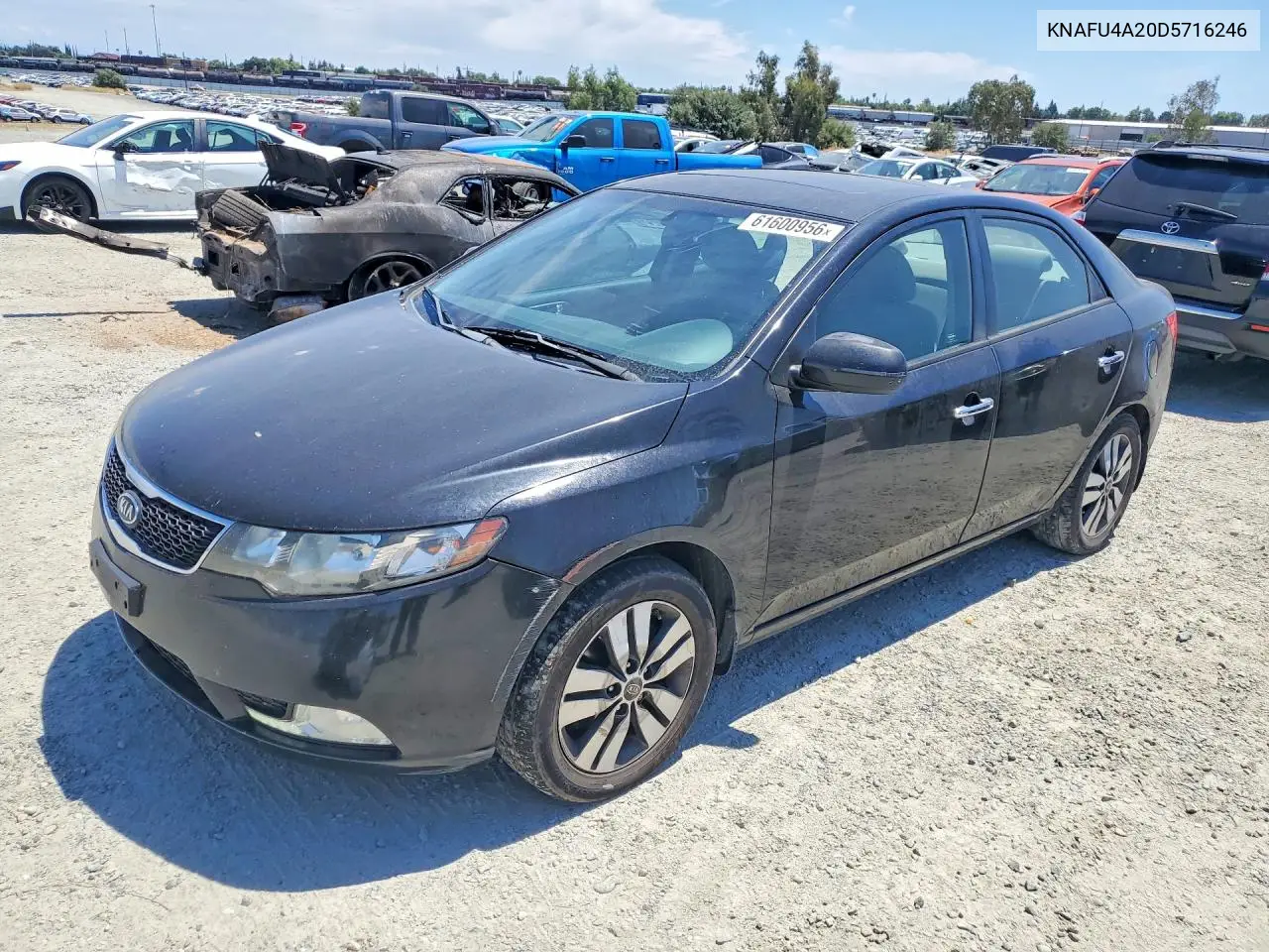 2013 Kia Forte Ex VIN: KNAFU4A20D5716246 Lot: 61600956
